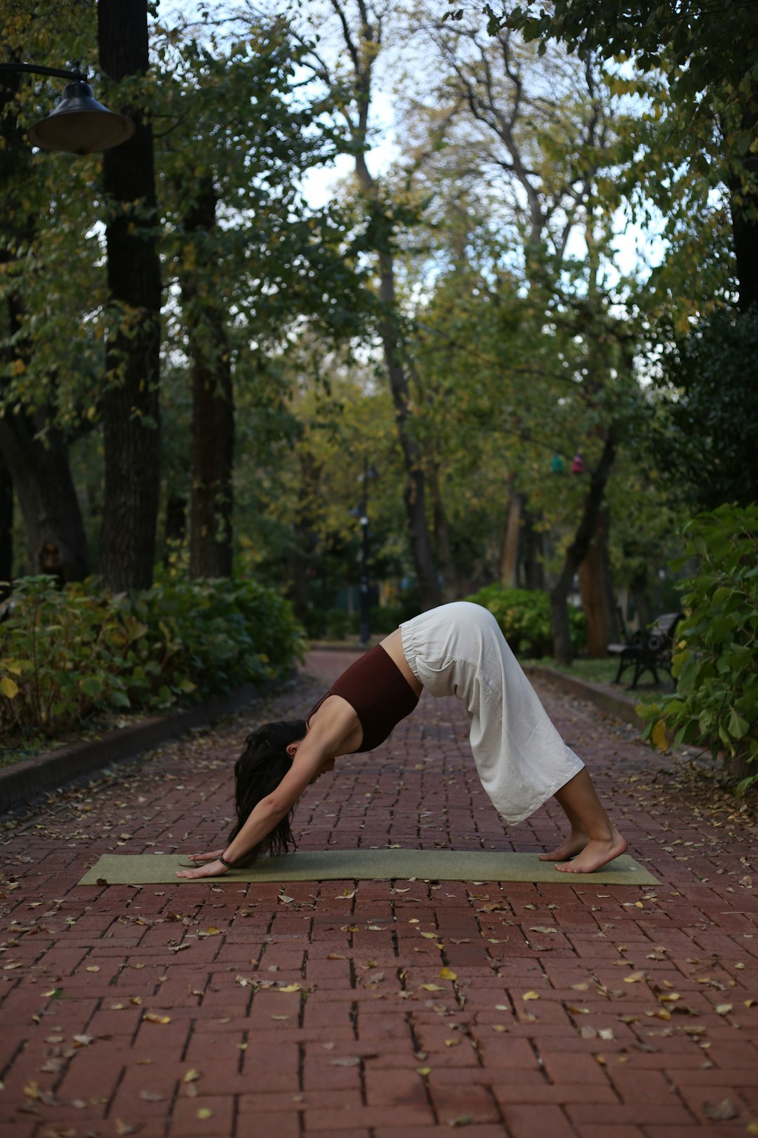 Offerings a-woman-is-doing-a-yoga-pose-on-a-brick-path-girii4anyr0